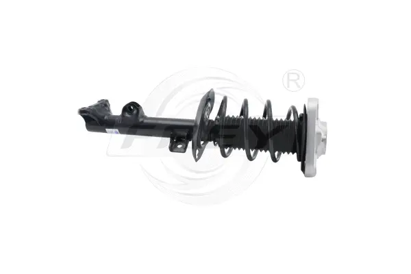 Shock Absorber (752191501)