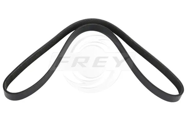 V-Ribbed Belt (821626601)