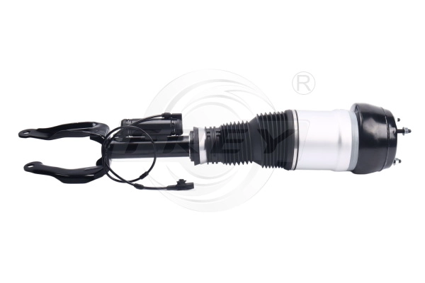 Shock Absorber (750433101)