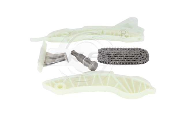 Timing Chain Kit (806409901)