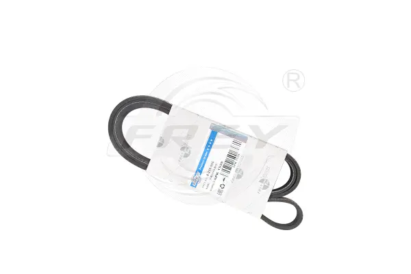 V-Ribbed Belt (821606601)