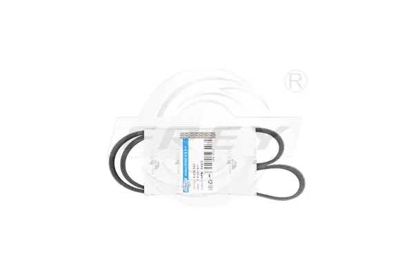 V-Ribbed Belt (821606301)