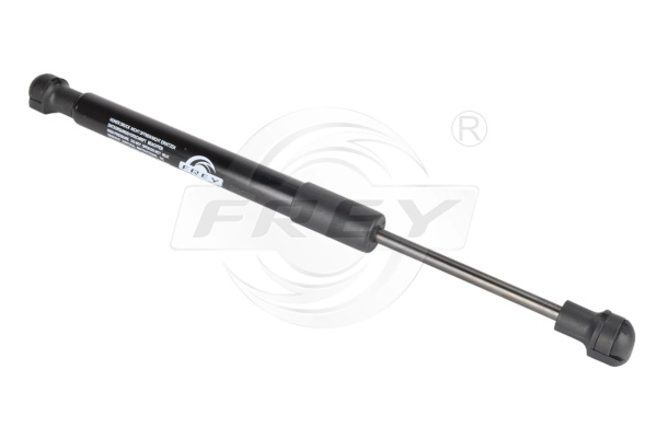 Gas Spring, boot/cargo area (790810201)
