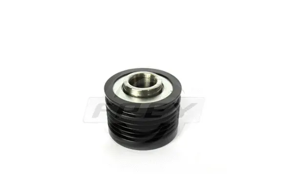 Alternator Freewheel Clutch (721002001)