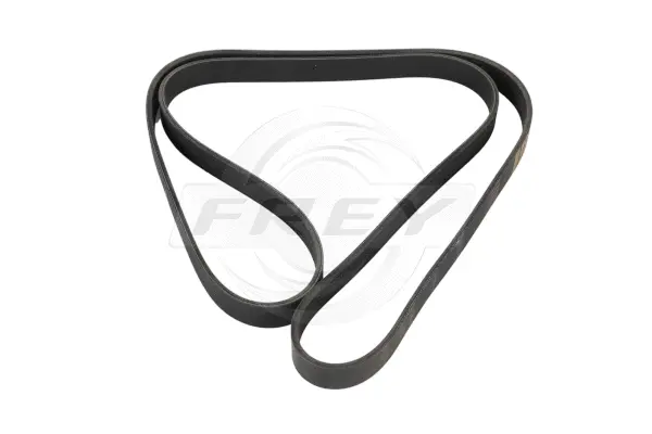 V-Ribbed Belt (821619401)