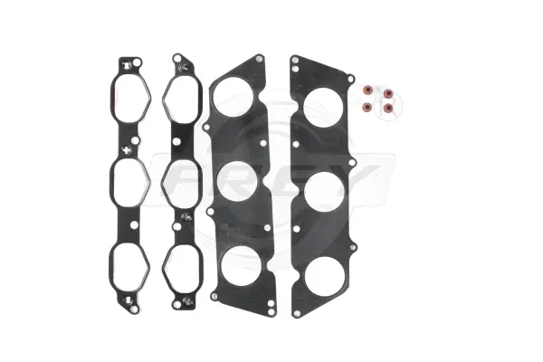 Gasket Kit, crankcase (700301701)