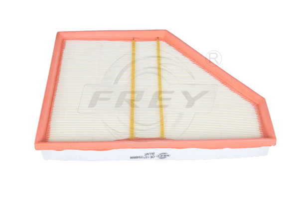 Air Filter (803101801)