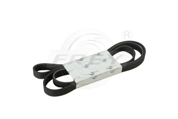 V-Ribbed Belt (721605601)