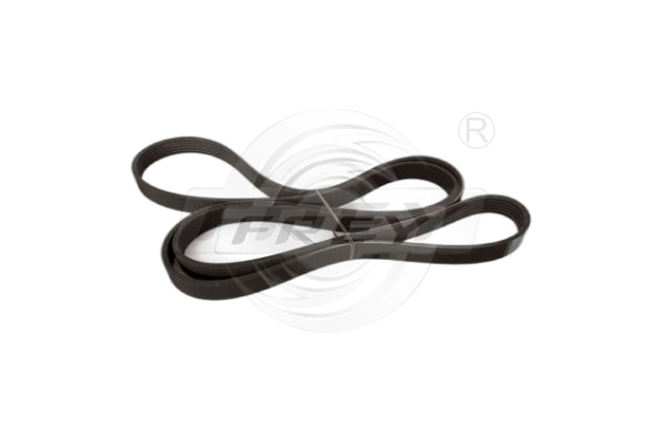 V-Ribbed Belt (721616901)