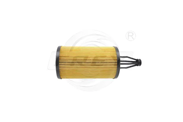 Oil Filter (709106401)