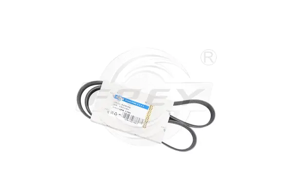 V-Ribbed Belt (821609201)