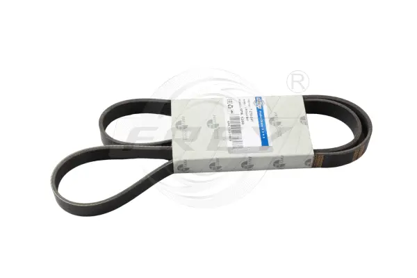 V-Ribbed Belt (721604101)