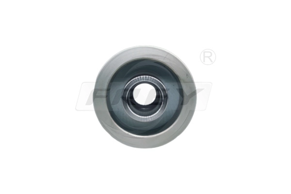 Alternator Freewheel Clutch (721005601)