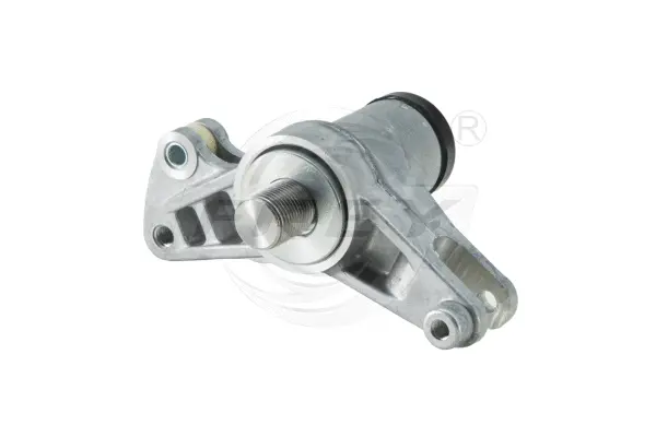 Tensioner Lever, V-ribbed belt (721201201)