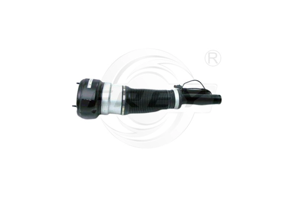 Shock Absorber (750405704)