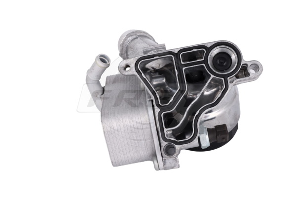 Oil Cooler, engine oil (809511701)