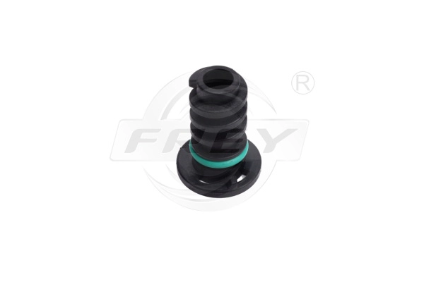 Screw Plug, oil sump (701758901)