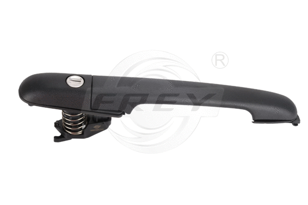 Exterior Door Handle (726900101)