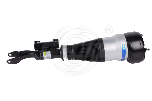 Shock Absorber (750435301)