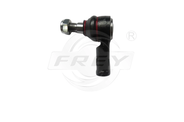 Tie Rod End (750013501)