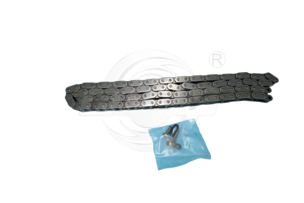 Timing Chain (8065020)