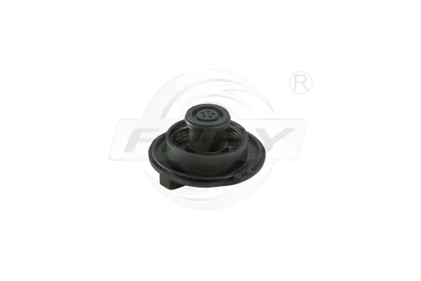 Cap, coolant tank (723303001)