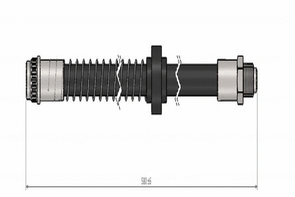 Brake Hose (C800 524C)