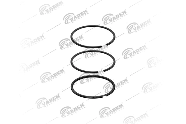 Piston Ring Kit (101 200)