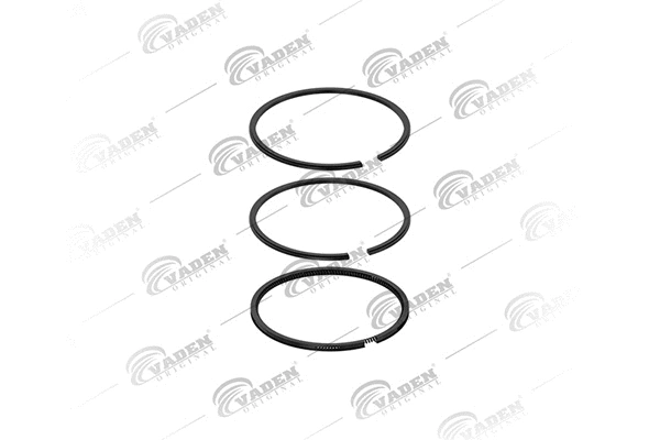 Piston Ring Kit (881 200)