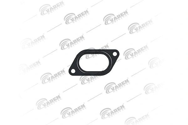 Gasket, water pump (0102 200)