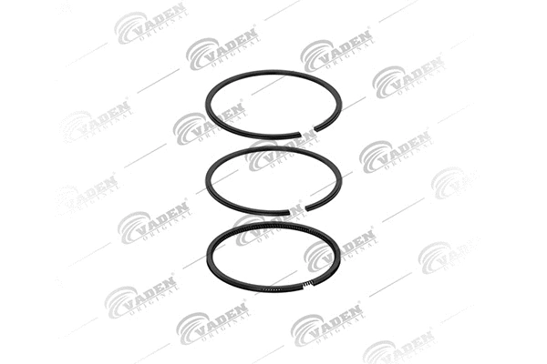 Piston Ring Kit (901 200)