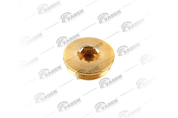 Plug, rocker arm shaft mounting bore (0103 007)