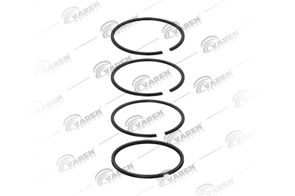Piston Ring Kit (902 200)