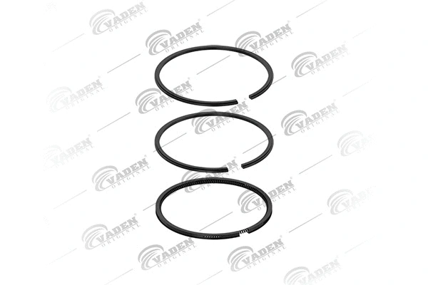 Piston Ring Kit (102 200)