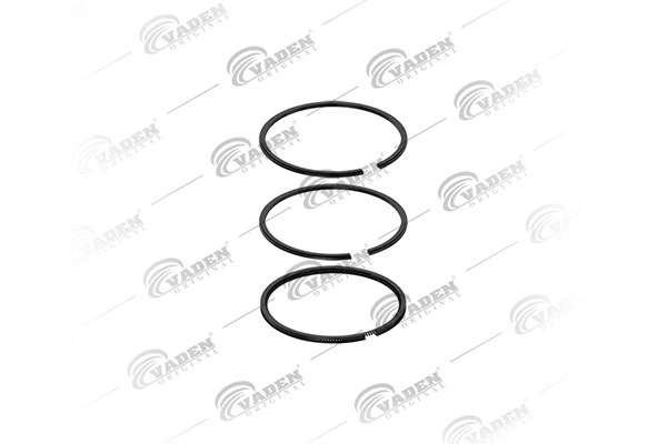 Piston Ring Kit (921 200)