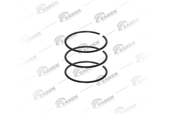 Piston Ring Kit (941 200)