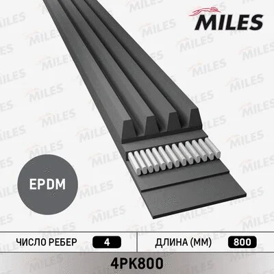 V-Ribbed Belt (4PK800)