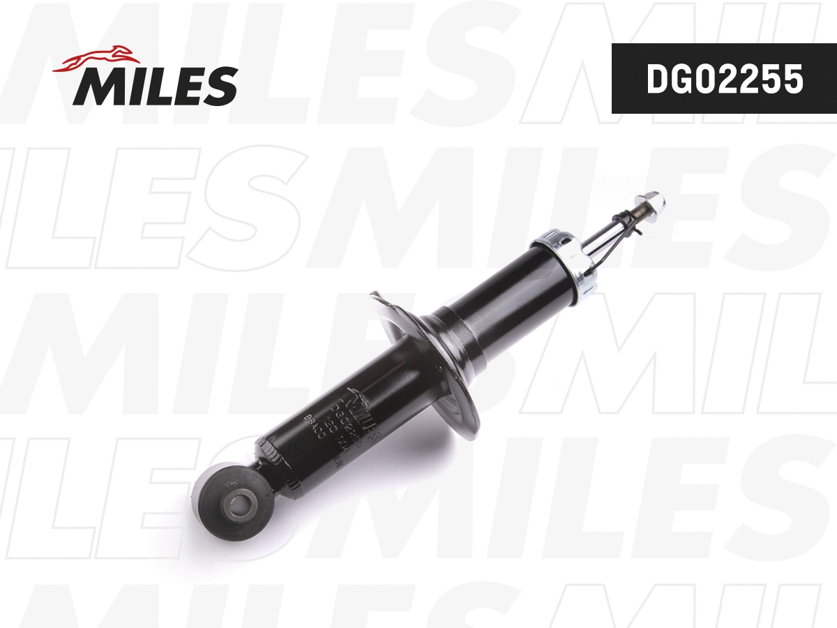 Shock Absorber (DG02255)