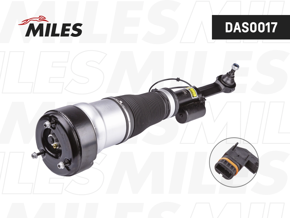 Air Suspension Strut (DAS0017)