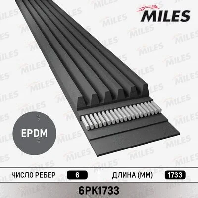 V-Ribbed Belt (6PK1733)