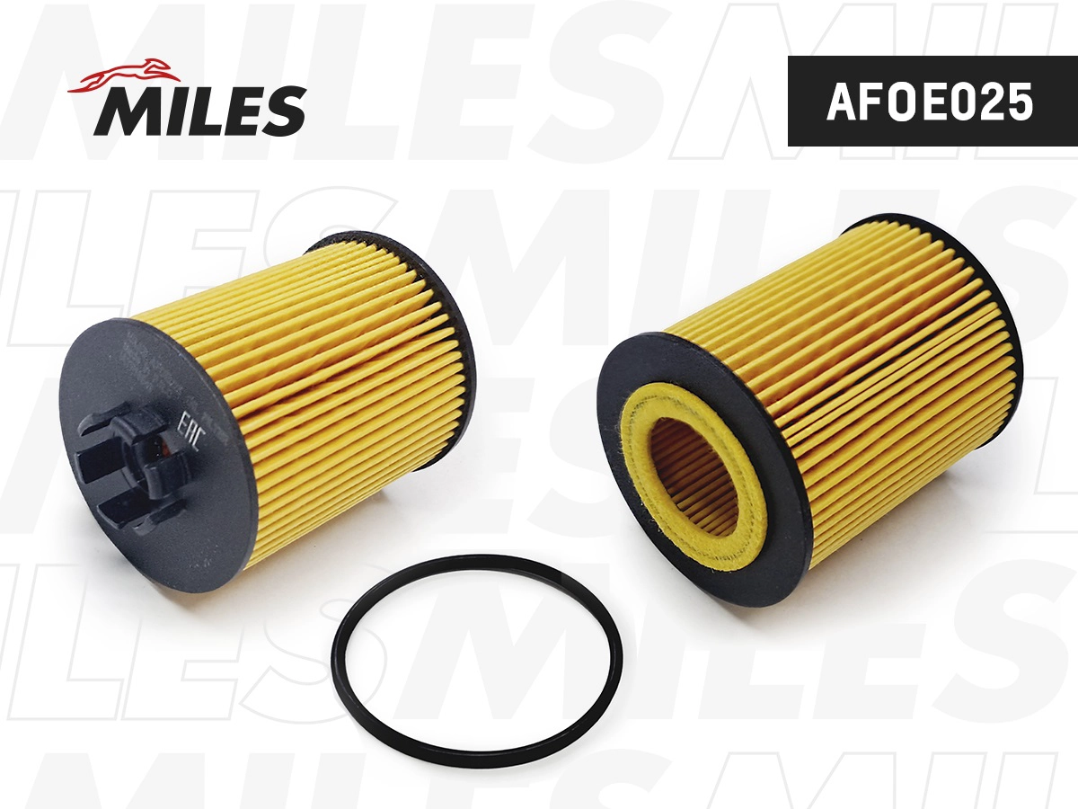 Oil Filter (AFOE025)