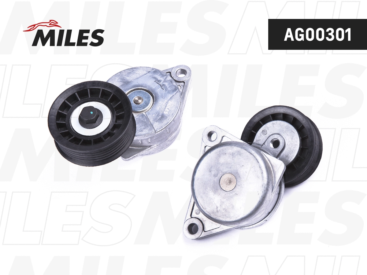 Tensioner Lever, V-ribbed belt (AG00301)
