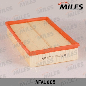 Air Filter (AFAU005)