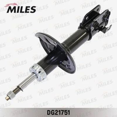 Shock Absorber (DG21751)