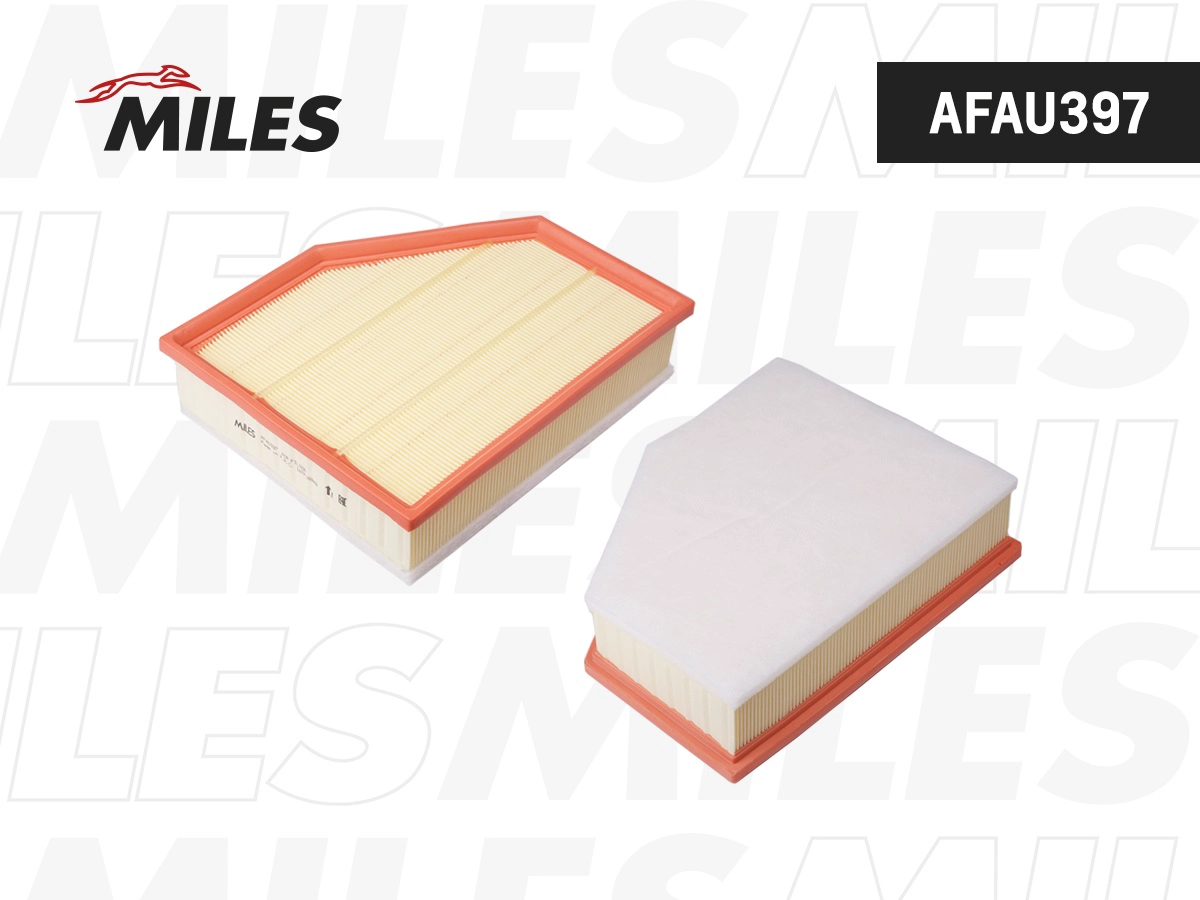Air Filter (AFAU397)