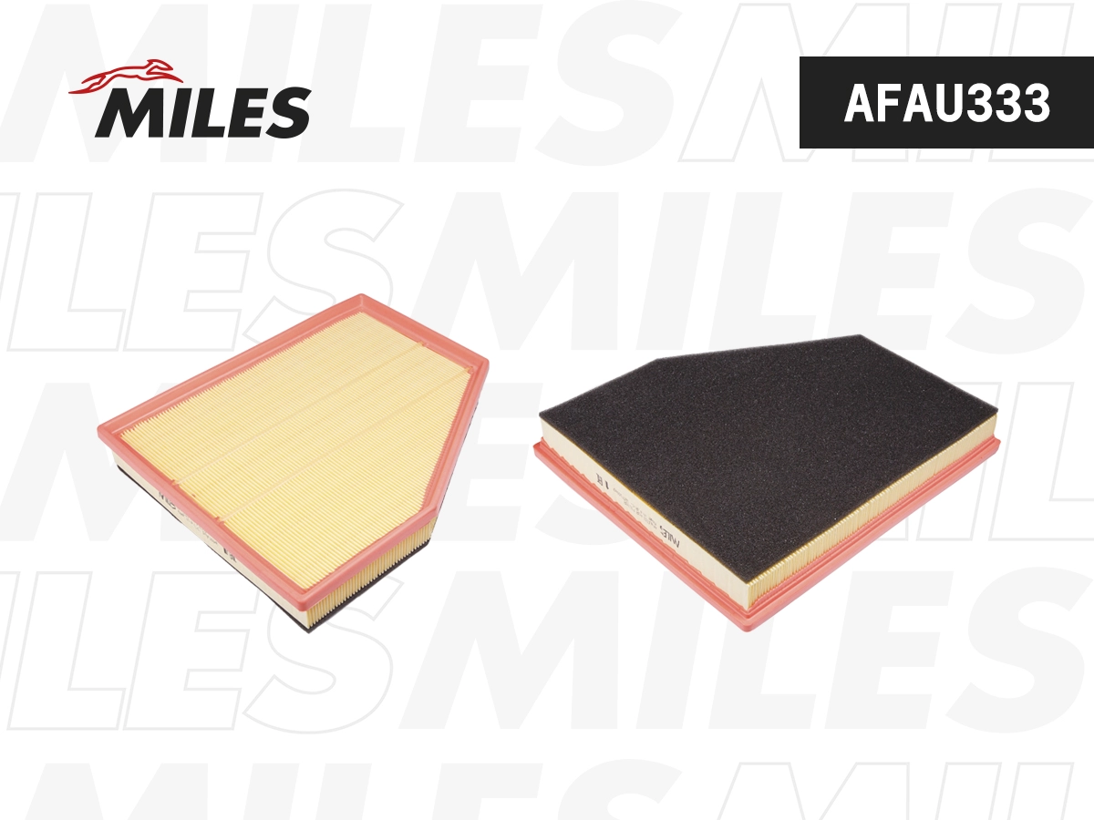 Air Filter (AFAU333)