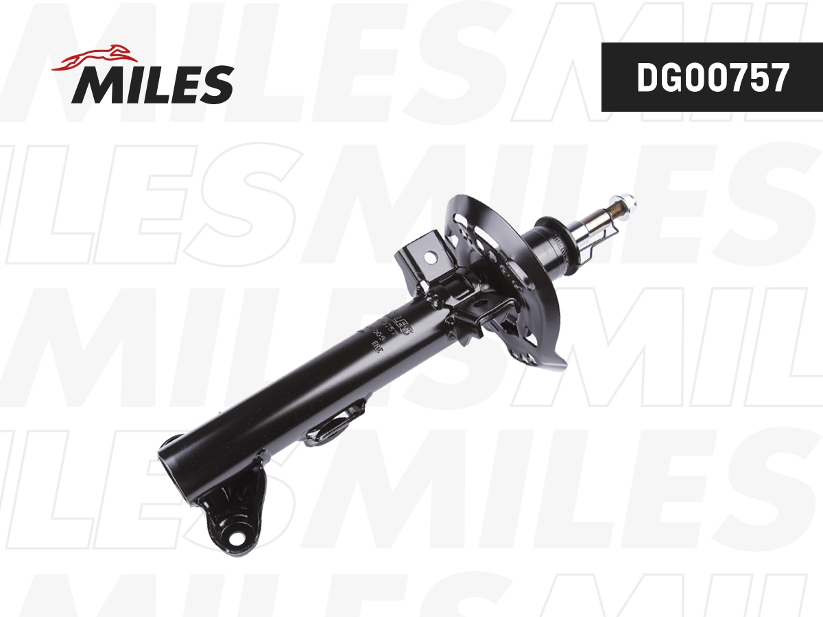 Shock Absorber (DG00757)