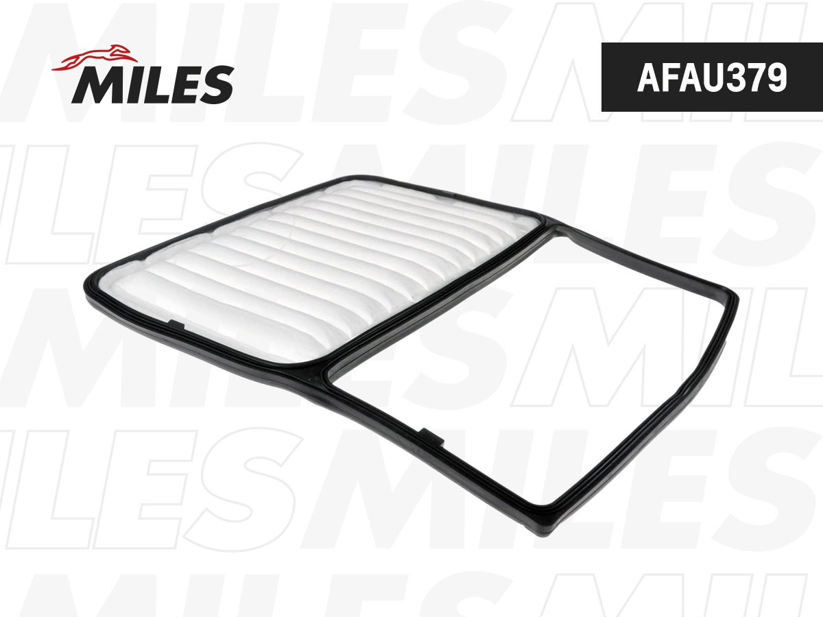 Air Filter (AFAU379)