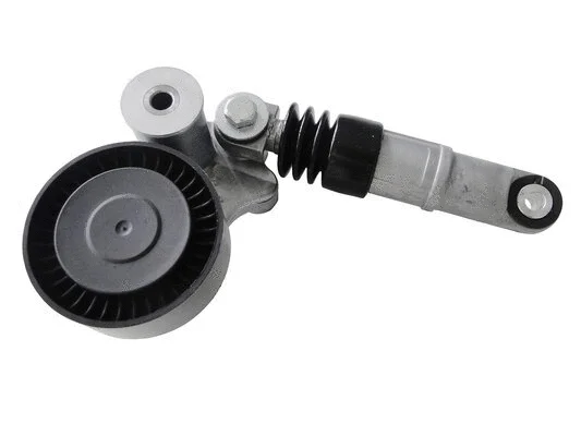 Tensioner Lever, V-ribbed belt (AG00140)
