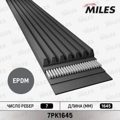 V-Ribbed Belt (7PK1645)